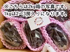 ご予約)9月お届け【 信州上田産種なし巨峰 】約1kg〜1.2kg(2〜3房)