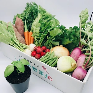 【ハーブ栽培セット付】５月のオーガニック野菜セット（クール便）
