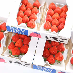 完熟あまおう！「福岡産いちご」デラックス級（6パック）