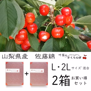 《お得》佐藤錦L･2L混合2箱組　1kg/1.6kg/2kg【６月中旬発送】　