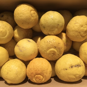 ※訳ありはるか家庭用（大キズあり）