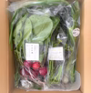 農家の食卓☀︎固定種&在来種おまかせ自然栽培野菜セット~スープな野菜のお便り~
