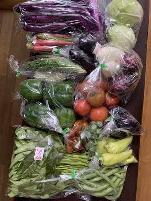 みんなの投稿の画像