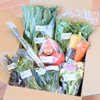 春のエシカル農産物セット～四国・徳島から野菜ソムリエが厳選～
