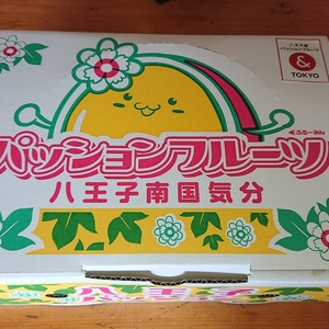 【9月発送】まだまだ楽しめるパッションフルーツ