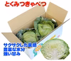 納豆菌栽培淡路島きゃべつ　芯まで甘く旨味たっぷり！（沖縄、北海道、離島地区以外）