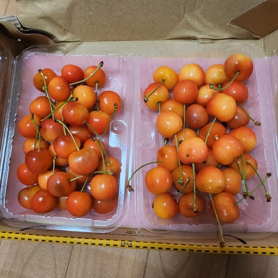 みんなの投稿の画像