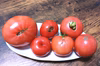 ツゲさんちのうまか 訳あり トマト     5ｋｇ