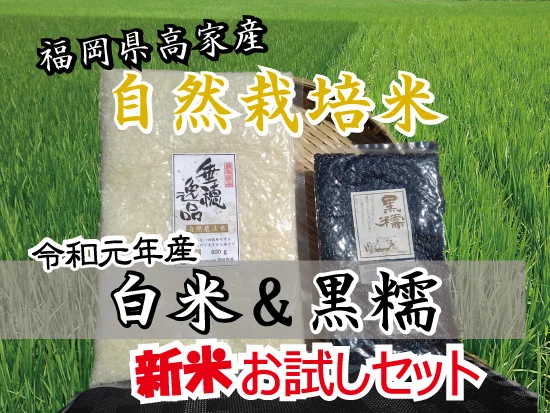 【自然栽培米お試しセット】 福岡県産 令和元年度米