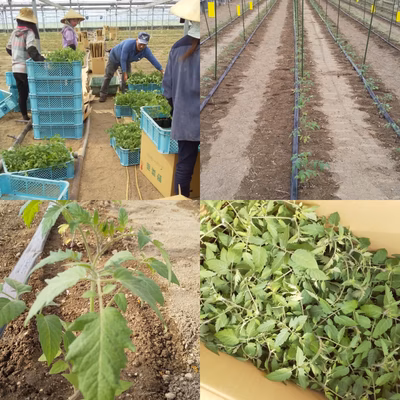 みんなの投稿の画像