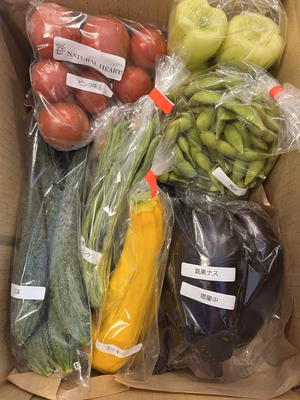 みんなの投稿の画像