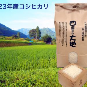 新米！コシヒカリ白米5kg　2024年度