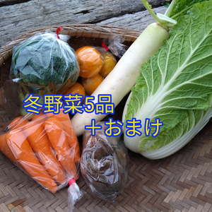 【お得な野菜セット5品✨】お野菜セット ヤマト常温便