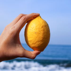 新鮮！皮まで安心してご使用いただける低農薬レモン（大小混合）