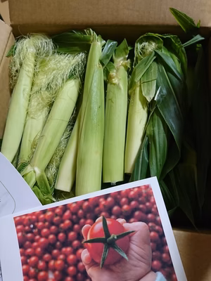 みんなの投稿の画像