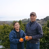 小池真澄