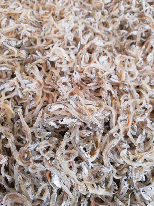 大小混ざりちりめん❗赤腹ちりめんと干しえびのセット