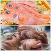 夢見る夢カサゴとモチモチ食感がたまらないトロダコ