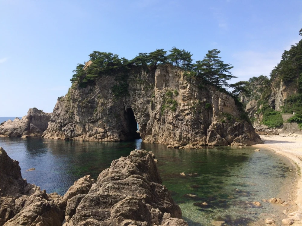 夏限定❗️天然サザエ　M・Ｌサイズ