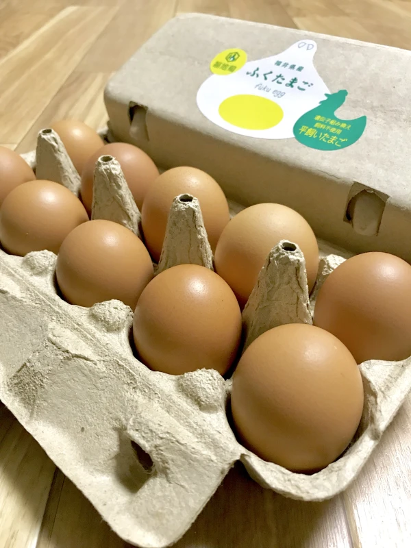 福地鶏の卵 ふくたまご 20個