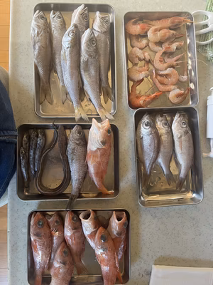 みんなの投稿の画像