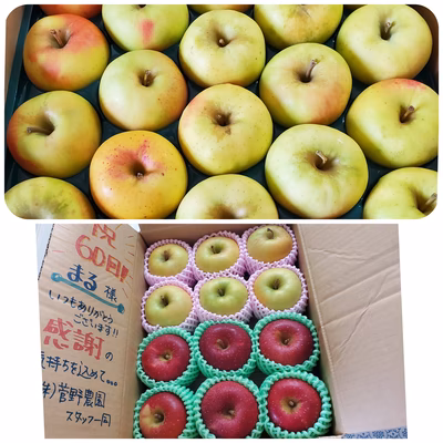 みんなの投稿の画像