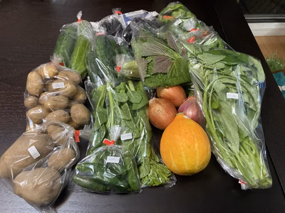 みんなの投稿の画像