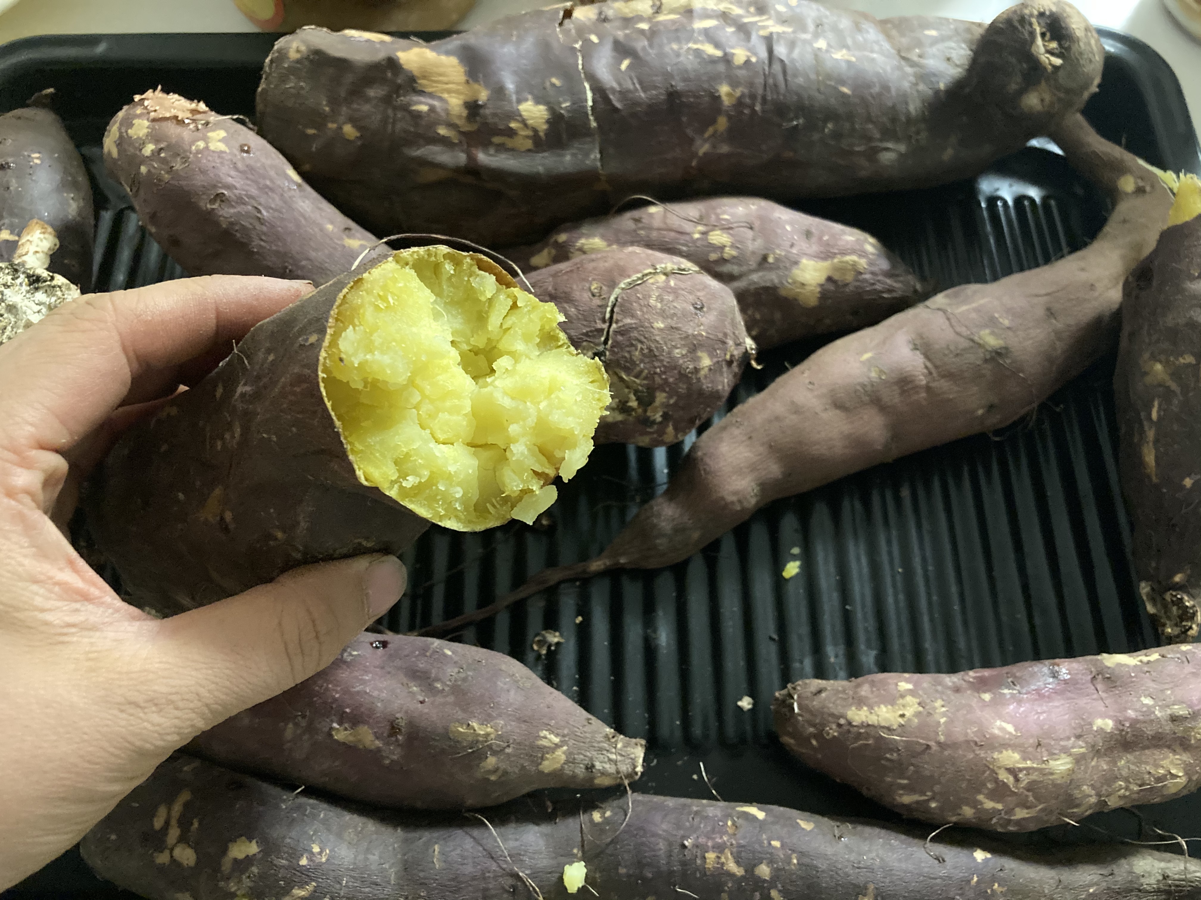 さつまいも2種と玉ねぎ2種セット 農家漁師から産地直送の通販 ポケットマルシェ