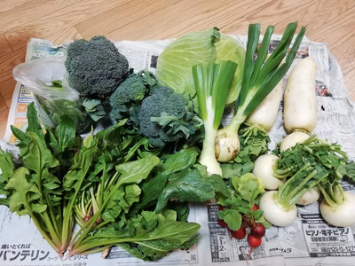 みんなの投稿の画像