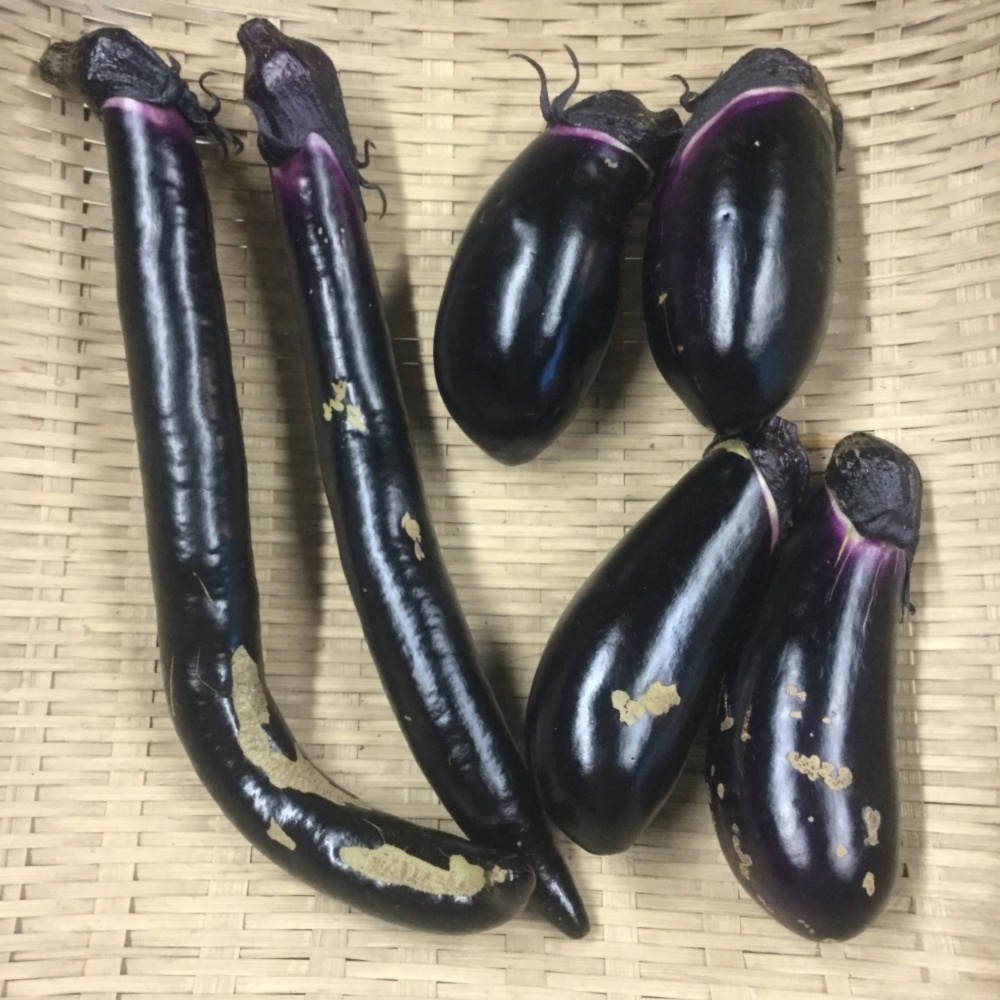 やまなす品 f_jpg