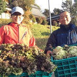 窪 一 | 株式会社ハンサムガーデン