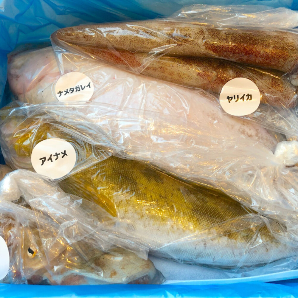 日本一のフラットフィッシュ 旬のカレイ類詰め合わせ 清昭丸 農家漁師直送のポケットマルシェ