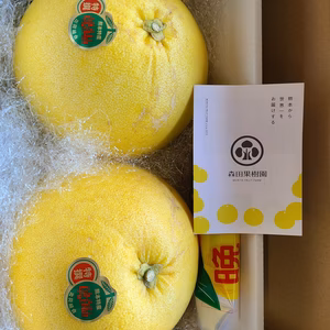 熊本県八代特産ばんぺいゆ(家庭用)2Lサイズ　2玉箱 12月より順次お届け！