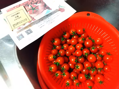 みんなの投稿の画像