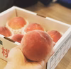 【抽選商品】温室桃はなよめ2kg