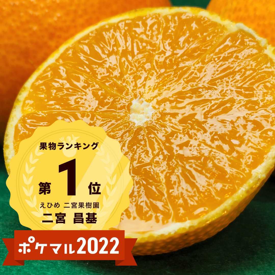 愛果48号（紅プリンセス同品種）2kg - 果物