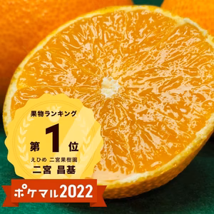 福袋2024　蔵出しマドンナ　おまけつき