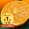 マドンナ　ゼリー食感で人気