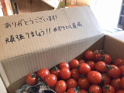 みんなの投稿の画像