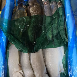 本日水揚げ❗️13日発送❗️イチマン❗しょうごの必殺〆セット