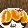 【食べ比べセット】農薬不使用 青島みかん&ネーブルセット