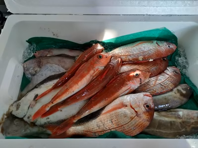 みんなの投稿の画像