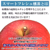 サンふじ【スマフレ】訳あり 約10kg 24-50玉#NAF0B100