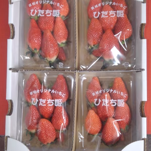 ひたち姫　レギュラー　4パック 1箱