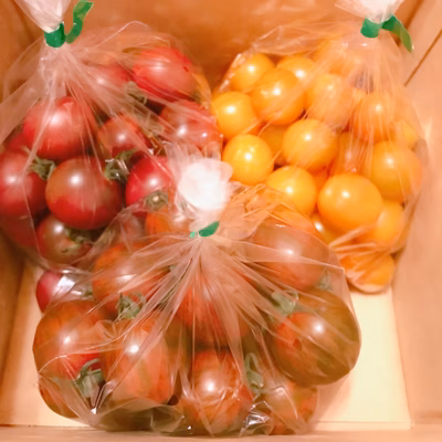 みんなの投稿の画像