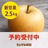 産地限定品種[新甘泉(しんかんせん)]2.5kg箱(5-8玉)