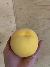 硬い桃！黄桃！柔らかくなりません！2kg(4-8玉)