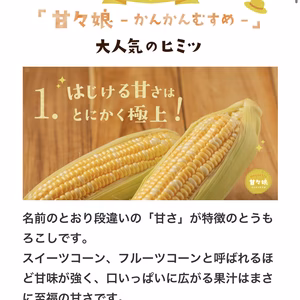 甘々娘 or 甘太郎　テルもろこし　鮮度保持フィルム個包装