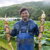 岩下龍志 | 高浜ロータスガーデン