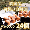 【パック入り】とれたて純国産平飼い自然卵（有精卵）添加物／保存料不使用